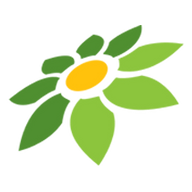 CEK PESANAN TOKOPEDIA